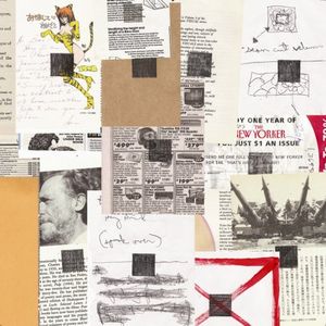 Courting Ed Templeton