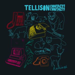 Disaster! Disaster! (Sonolmoss - London Found remix)