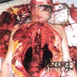 Gribbled Maggotized Pregnant Inside Into a Fetid Renal Sarna