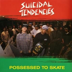 Possessed to Skate (Single)
