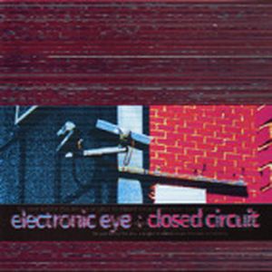 Electronic Sight