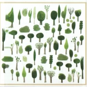 Forest's Name