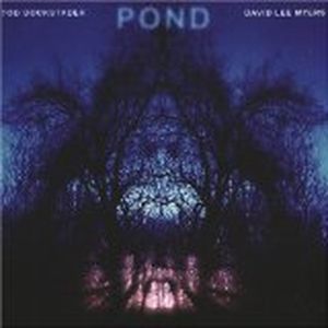 Pond