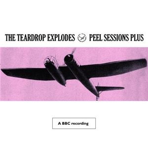 Peel Sessions Plus (Live)