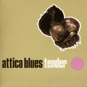 Tender (Single)