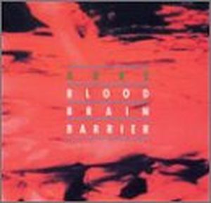 Blood-Brain Barrier II