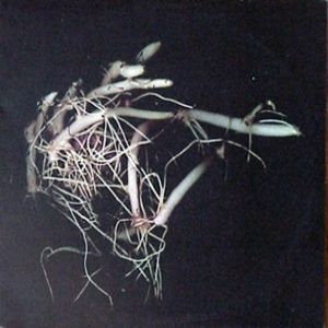 Tongue Under Lip (feat. Matthew Lee)