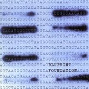 Foundation