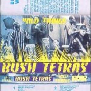 Wild Things (Live)