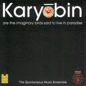 Karyobin Part 1