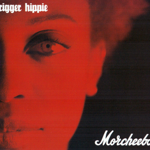 Trigger Hippie (Glide Sitar mix)