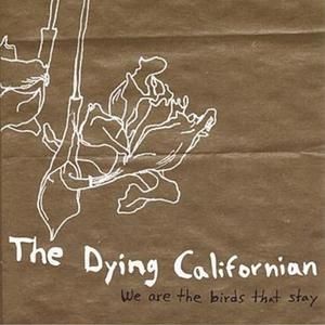 We Are The Birds That Stay