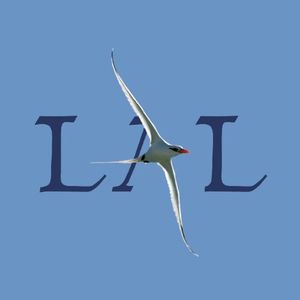 Flight of the Pelican