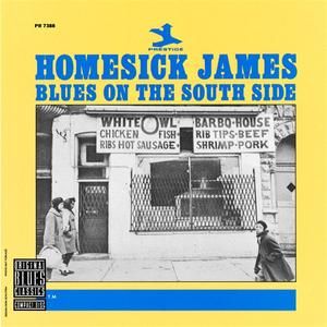 Stones in My Passway