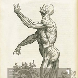 Enantiodromie