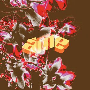 Sun Sugar