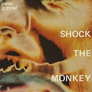 Shock the Monkey