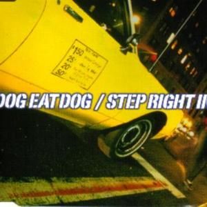 Step Right In (Wisedog Mix) (clean version)