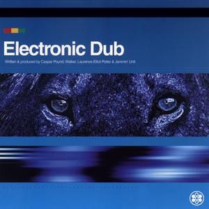 Electronic Dub 1