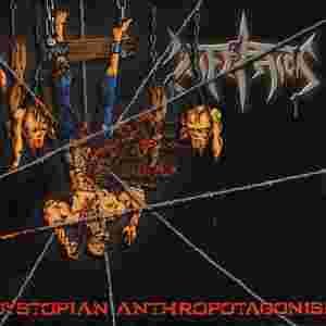 Stripped to the Bone