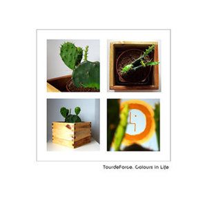 We're NOT Underground