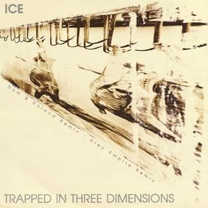 Trapped in Three Dimensions (Dom & Roland remix)