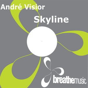 Skyline (Arizona remix (radio edit))