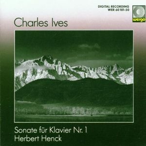 Sonate für Klavier Nr. 1: IIa. Allegro moderato - Andante