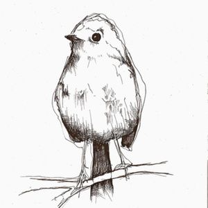 Doves