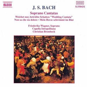 Weichet nur, betubte Schatten, BWV 202, "Wedding Cantata": I. Adagio