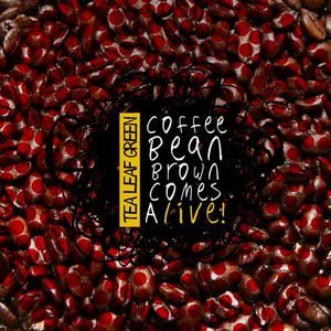 Coffee Bean Brown Comes Alive! (Live)