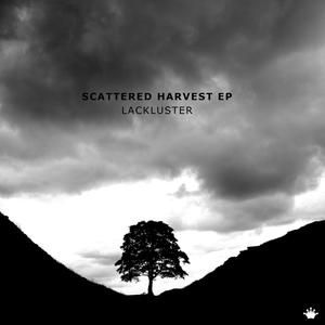 scattered harvest ep (EP)