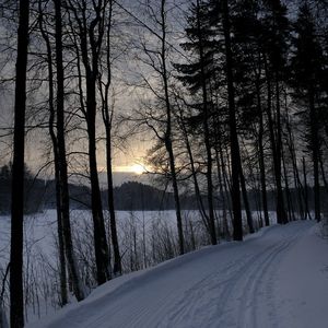 Red Winter Rhapsody 3