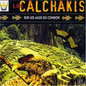 Sur les ailes du condor