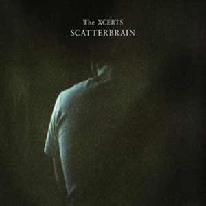 Scatterbrain