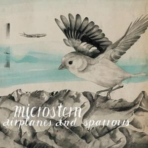 Airplanes and Sparrows