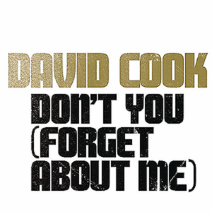 Don't You (Forget About Me) (Single)