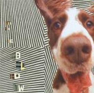 A Night Full of Open Eyes