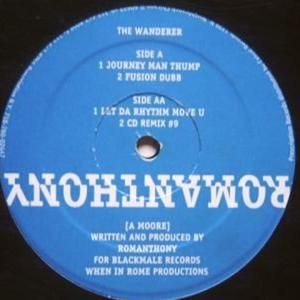 The Wanderer (Temple vox mix)