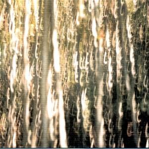 Les Oscillations, Part 2