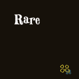 Rare (EP)