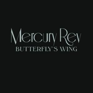 Butterfly's Wing (Single)
