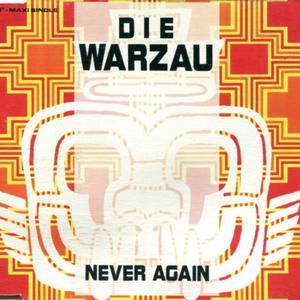Never Again (Single)