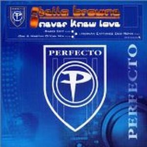 Never Knew Love (original mix)