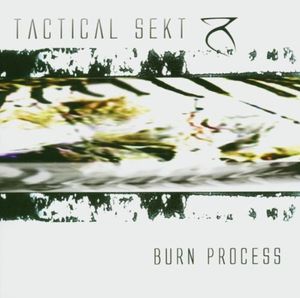 Burn Process (Destruction remix by Reality)