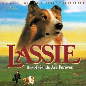 Lassie Protects the Herd