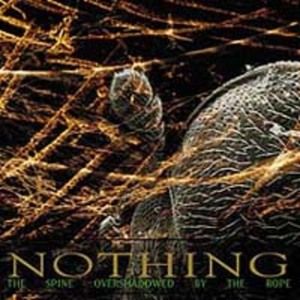 Words That Break the Teeth