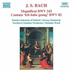 Cantata "Ich habe genug", BWV 82: IV. Recitative: Mein Gott