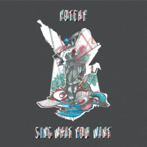 Sing What You Want (Single)