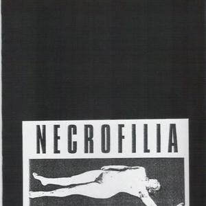 Il corpo